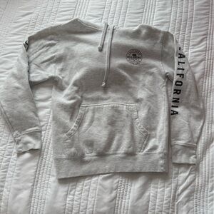 BRAND NEW Billabong Gray Kids Hoodie